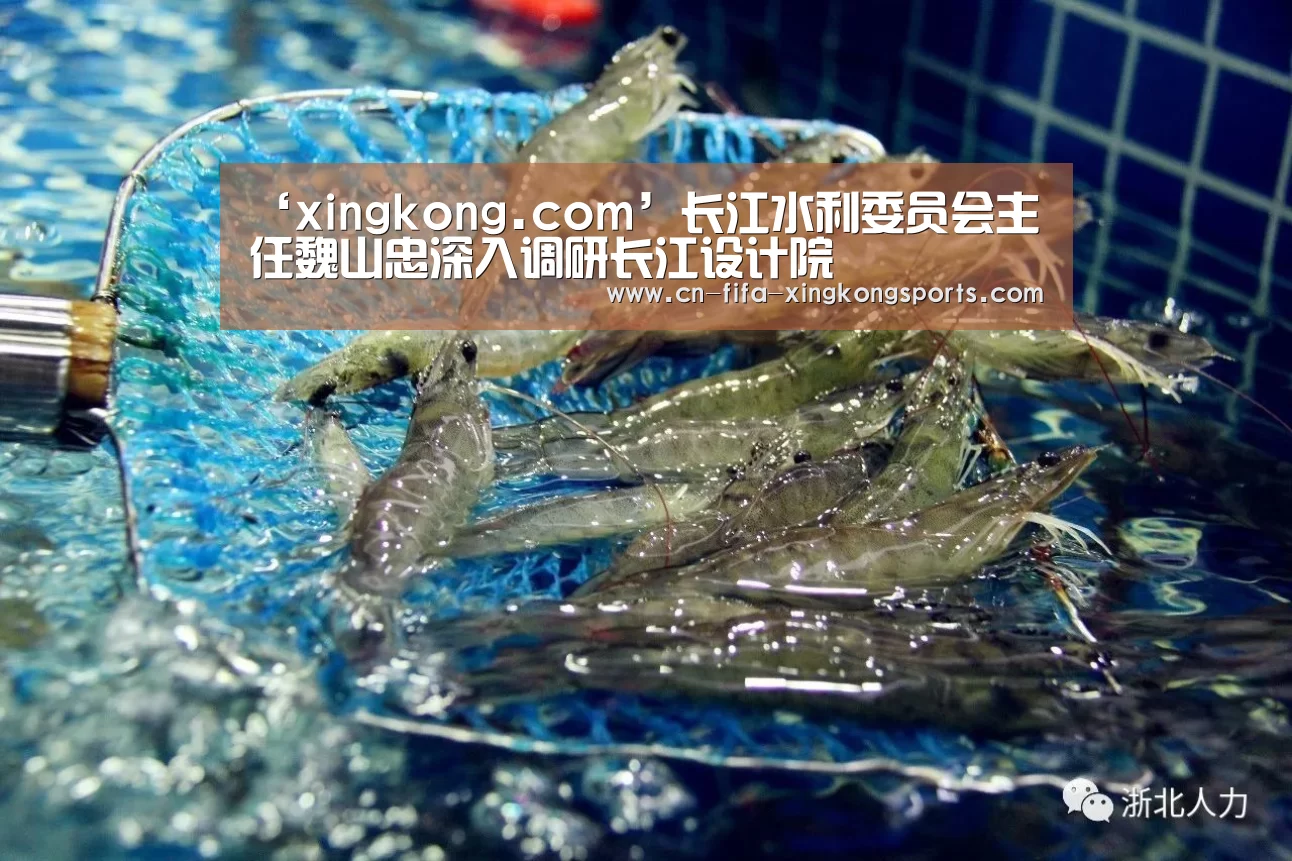 星空体育下载