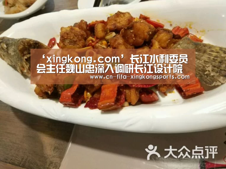 星空体育app